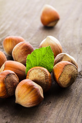Hazelnuts heap