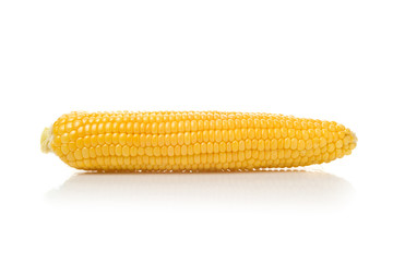 Long Corn Cob on white background