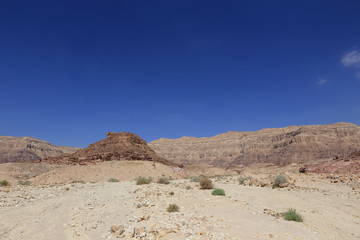 Desert