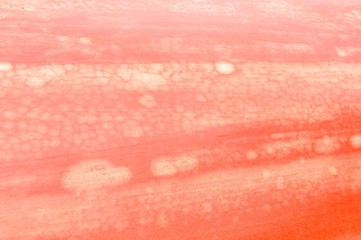 Abstract red background