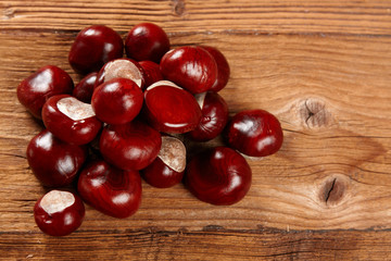 chestnut