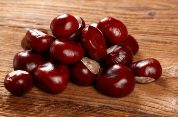 chestnut