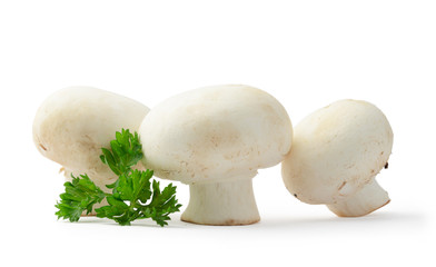 Champignon mushrooms