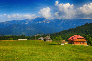 Fototapeta na wymiar Beautiful summer landscape in the mountains. Romania