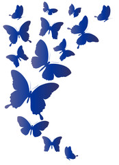 butterflies design