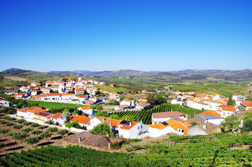 Fototapeta na wymiar Village in douro valley, Portugal