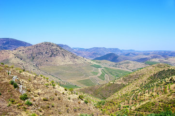 Fototapeta na wymiar Landscape of Douro Valley, Portugal