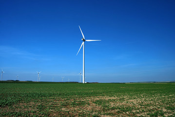 Groupe d'éoliennes en plein champs