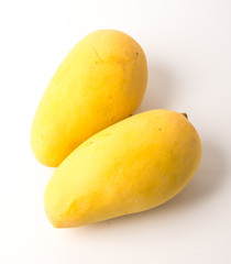 yellow mango fruit on a background