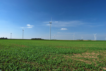 Eoliennes en groupe