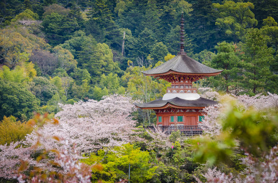 Goju-no-to pagoda of Senjokaku shrine - Miyajima ,Japan