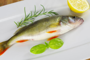 fresh fish with rosemary