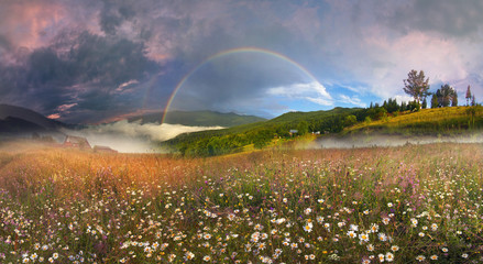 panorama of mountain meadows in Transcarpathia