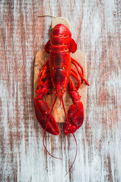 Cooked lobster on wooden background