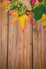 Naklejka na ściany i meble Beautiful red autumn color leaves on wood background