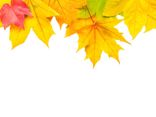 Naklejka na ściany i meble Herbstblätter als Hintergrund