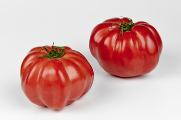 pomodori biologici