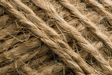 Natural thread macro 2