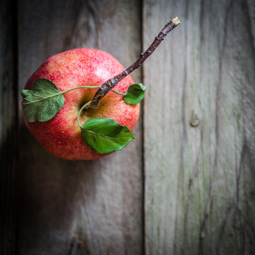 Farm raised apples on wooden background