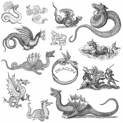 Dragon illustration - 70627530