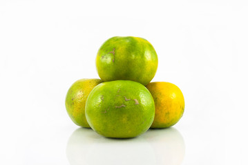 Group of tropical orange.