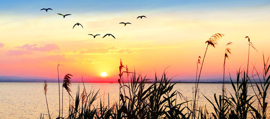 Panele Szklane  panoramiczny wschód słońca nad jeziorem