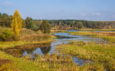 Autumn natural landscape - colorful trees and river