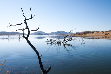 A beautiful lake at with dead trees and mountains