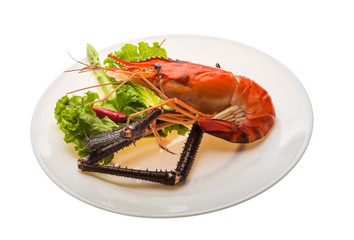 Giant Freshwater Prawn