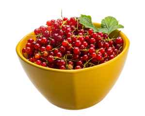 Red currant
