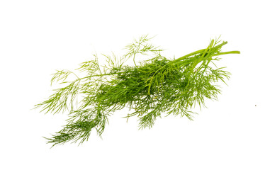 Dill branch