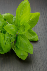 Basil leaves