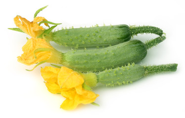 Young cucumber