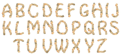 shell alphabet
