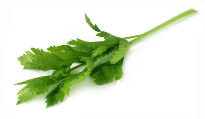 Celery leaves