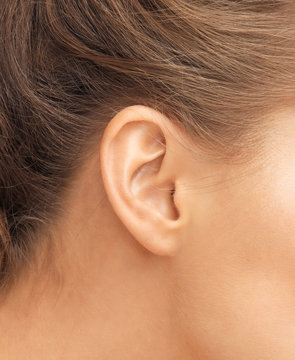 close up of woman's ear