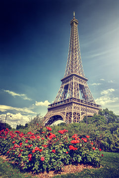 Summer in Paris. Eiffel tower (toned image)
