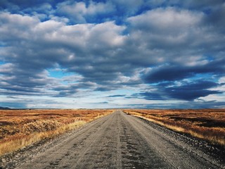 Fototapeta na wymiar Autumn road in Iceland goes strait to horizon 
