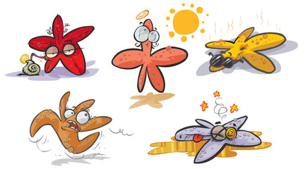 Starfish cartoon collection.