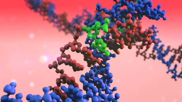 DNA, DNA animation