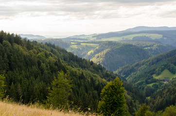 Fototapeta na wymiar Schwarzwald Aussicht