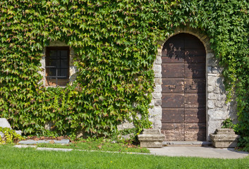 Fototapeta na wymiar Ivy Covered Exterior Wall of a Historic Building