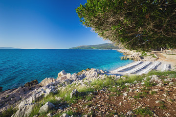 Beach scenery with pine tree in Croatia, Istria, Europe
