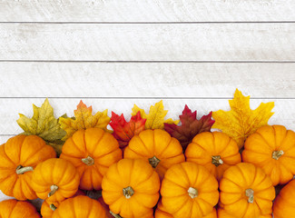 Autumn Pumpkin Thanksgiving Background