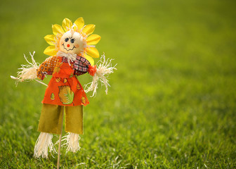 Scarecrow in Garden.