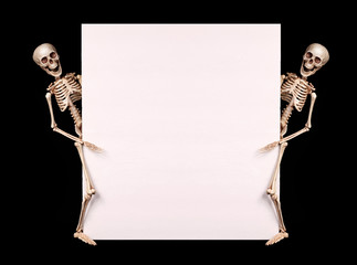 Skeletons holding empty blank over black background. Halloween