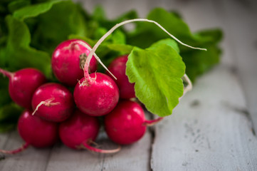 Bunch of radish on wooden background