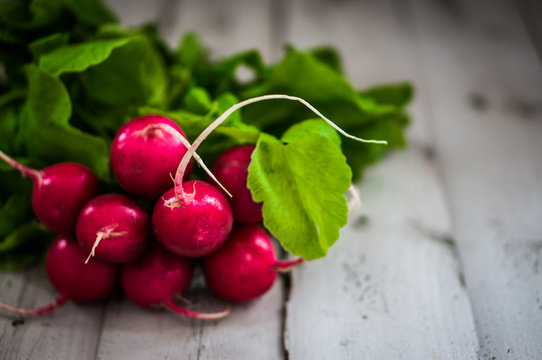 Bunch of radish on wooden background