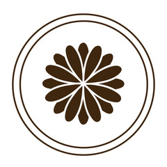 Flowers design