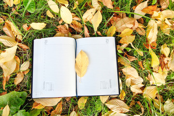Naklejka na ściany i meble notebook on autumn leafs